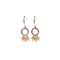 Delanacre, Yellow Sapphire Earrings Junior