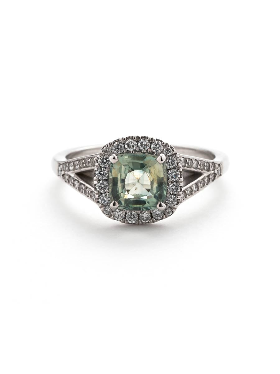 Sarah Michiko, San Francisco Ring