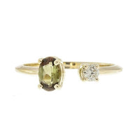 Sarah Michiko, Vienna Ring